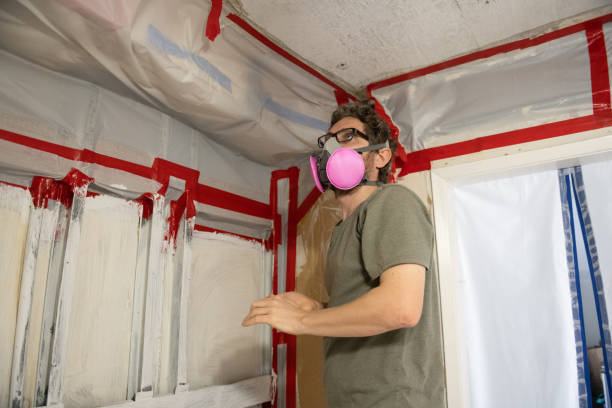 Best Mold Odor Removal Services  in Beverly, MA