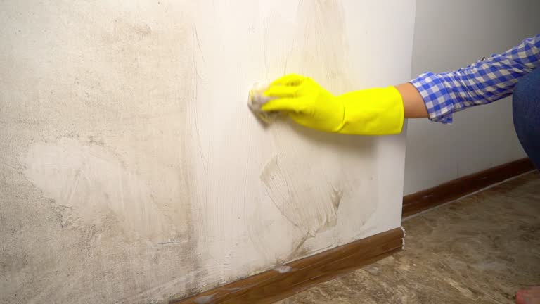 Mold Remediation for Rental Properties in Beverly, MA